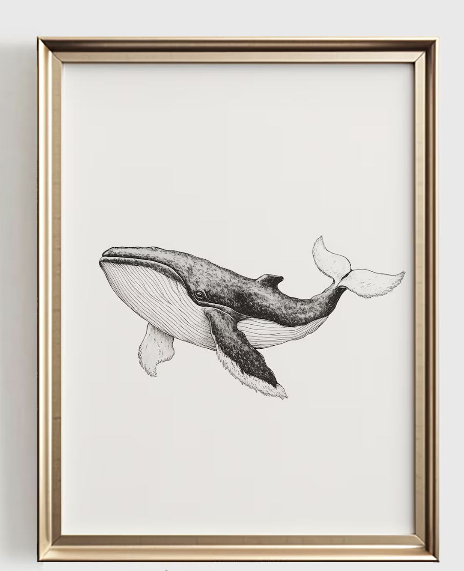 Whale Line Art Print, Minimali - Baby Nursery Prints review and price