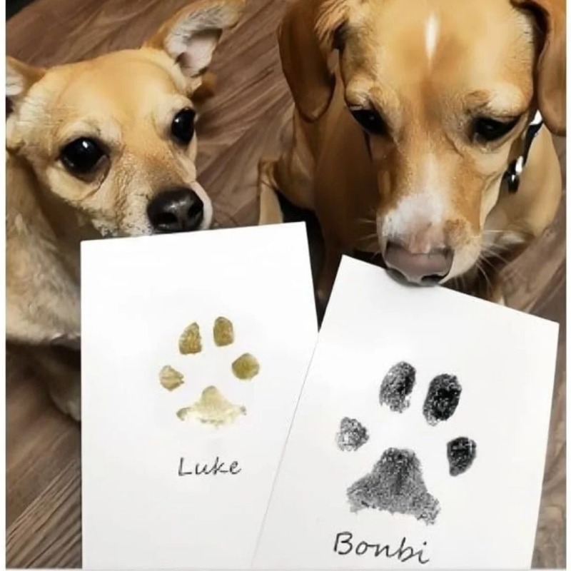 Safe Non-toxic Baby Footprints - Footprint Ink Kit review and price